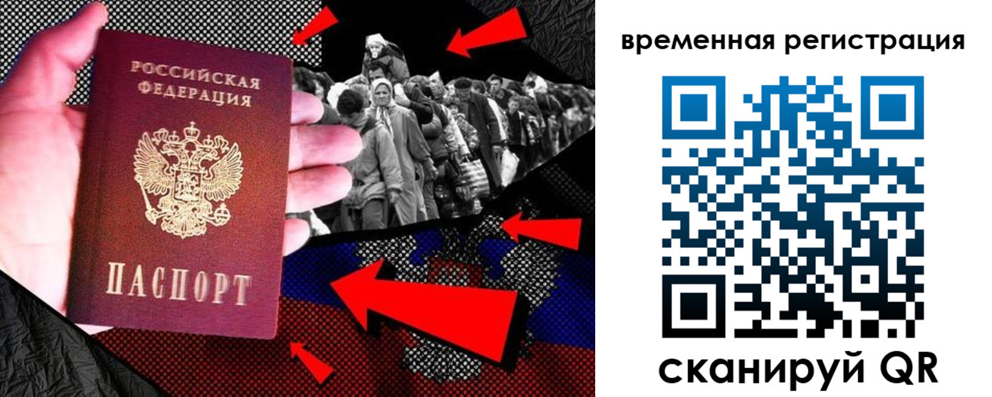 прописка гарантия в Ярославле